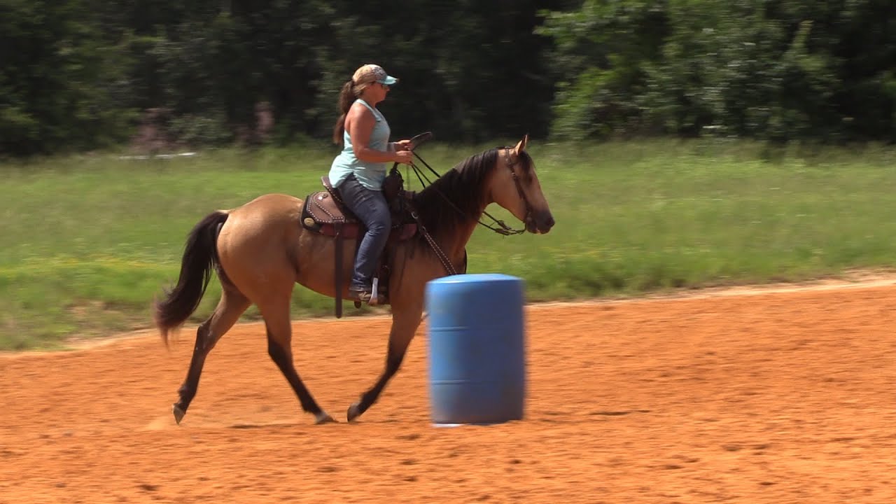 Introducing Bixby - Her First Day On The Barrels