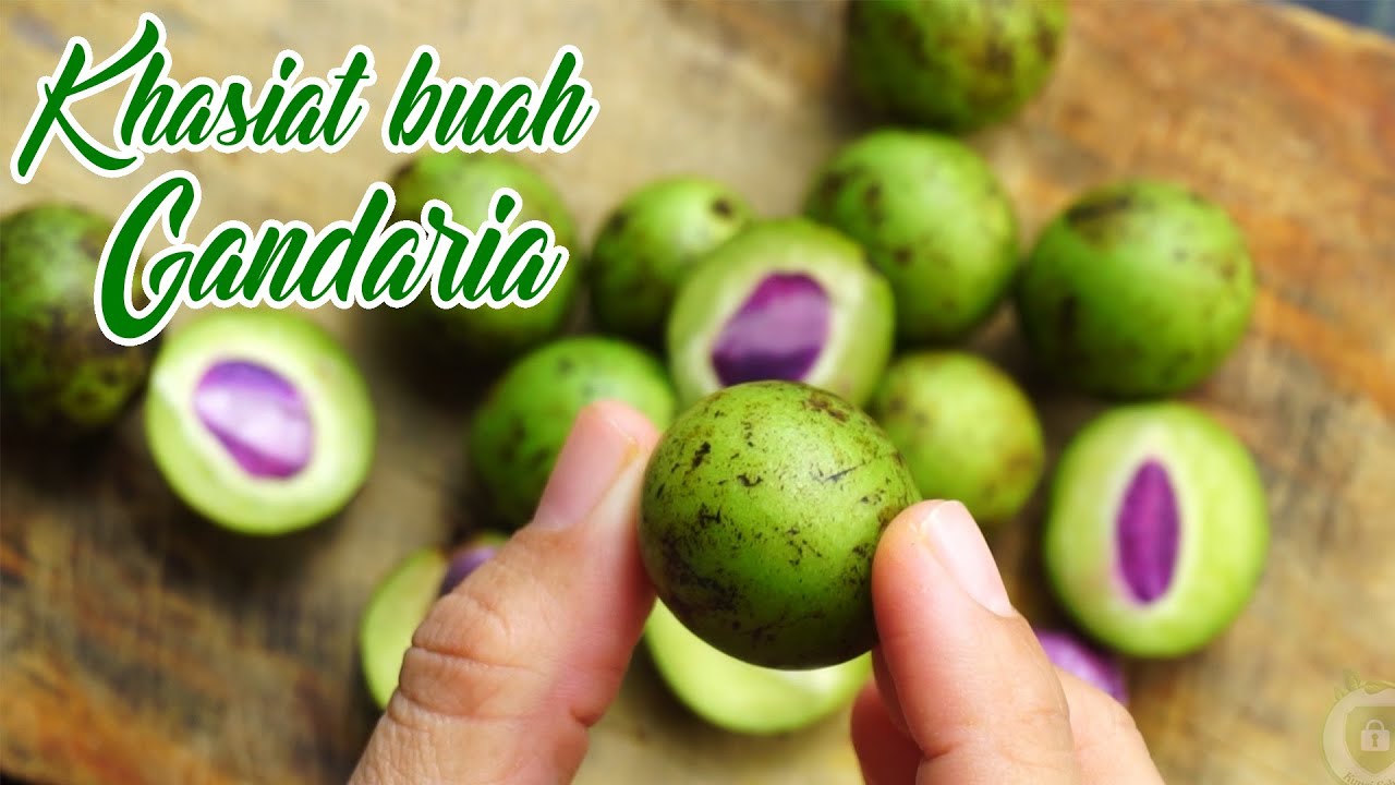 7 KHASIAT BUAH GANDARIA UNTUK KESEHATAN - Mencegah Diabetes