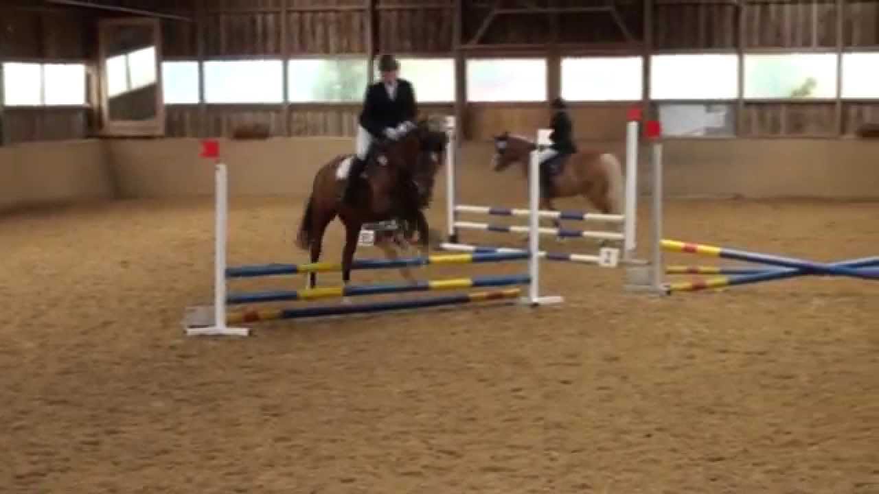 Angi & Zibby Springreiter-WB Wannweil 17.05.15