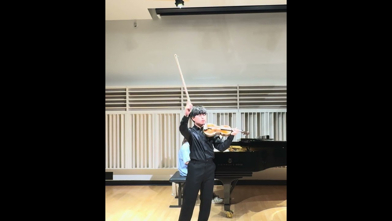 Brahms Violin Concerto in D major, Op. 77 (1st movement, Allegro non troppo)