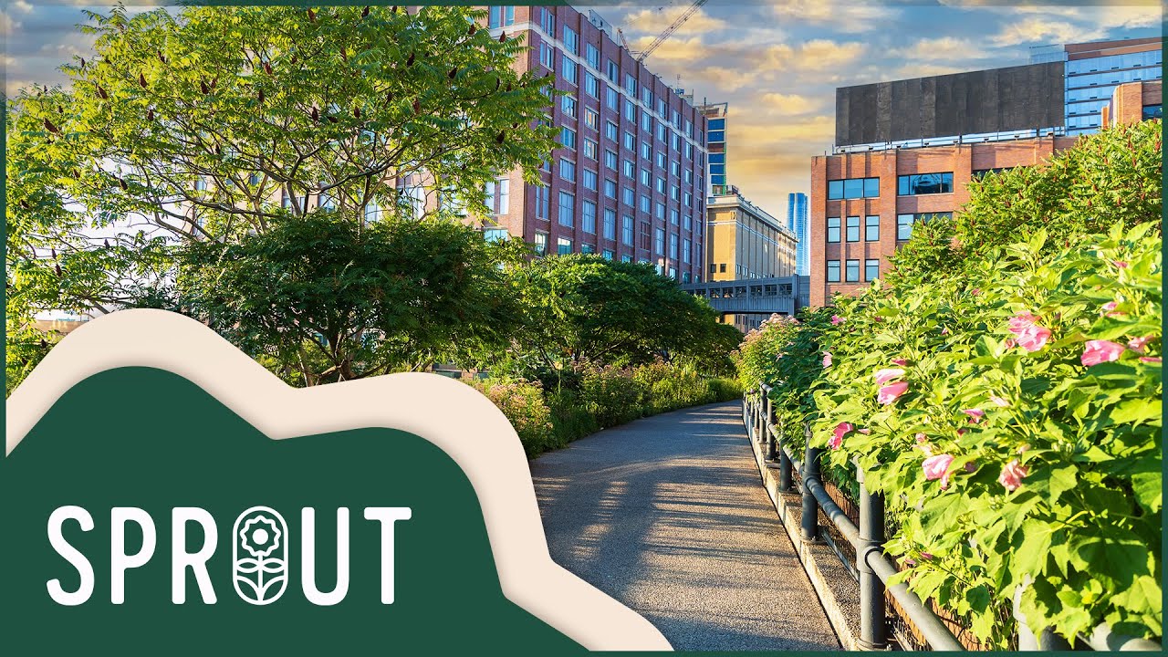 Sprout - HighLine Garden Design: Вдохновляя на создание устойчивых городов