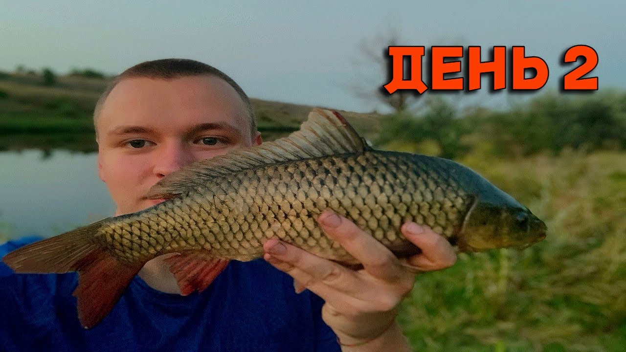 ПРОВЕРЯЮ МАКУШАТНИКИ НА САЗАНА. ДЕНЬ 2