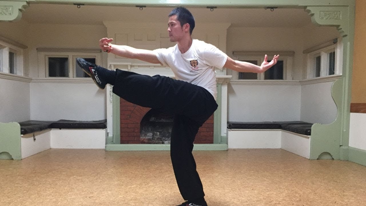 Shaolin Kung Fu Wushu Training-Seven Star Fist - Martial Arts for Beginners