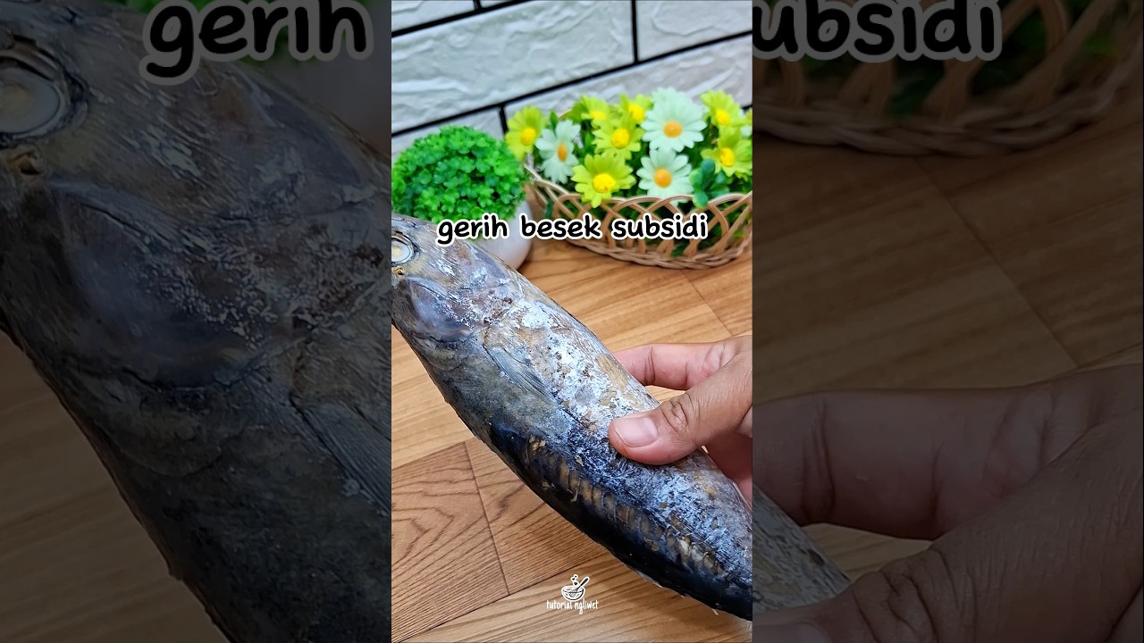 Lagi bingung meh masak opo ndelalah enek gerih besek murah