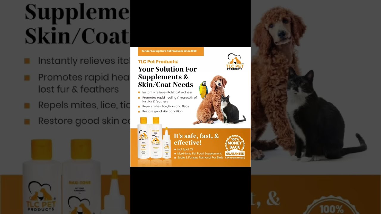 Top Best Selling Pet Products of 2025 | TLC Pet Products