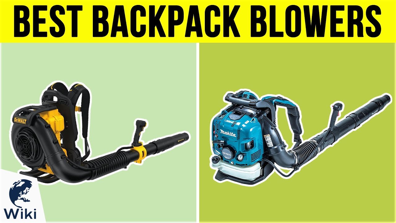 10 Best Backpack Blowers 2019