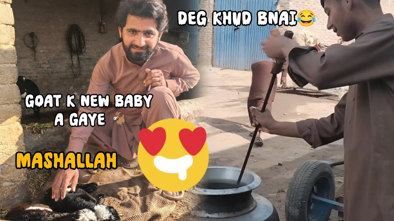 Goat k new baby a gaye 😻 