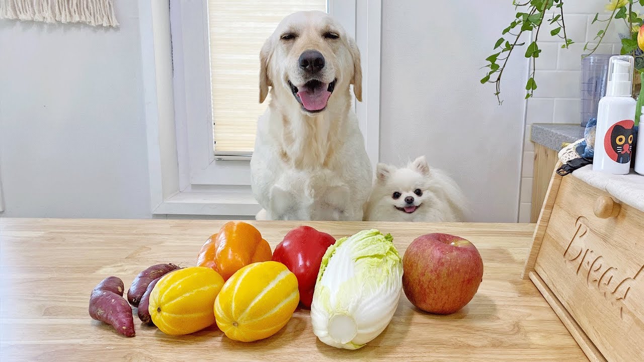 Eating Various vegetables | Dog ASMR 🌿 Paprika Cabbage Sweet potato Korean melon