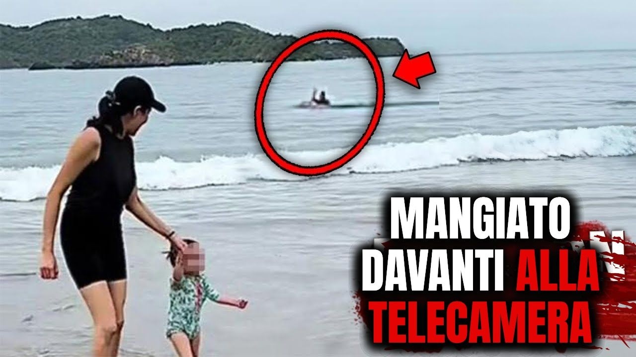 Le 4 volte pi&ugrave; INQUIETANTI in cui i turisti sono stati mangiati vivi in vacanza...