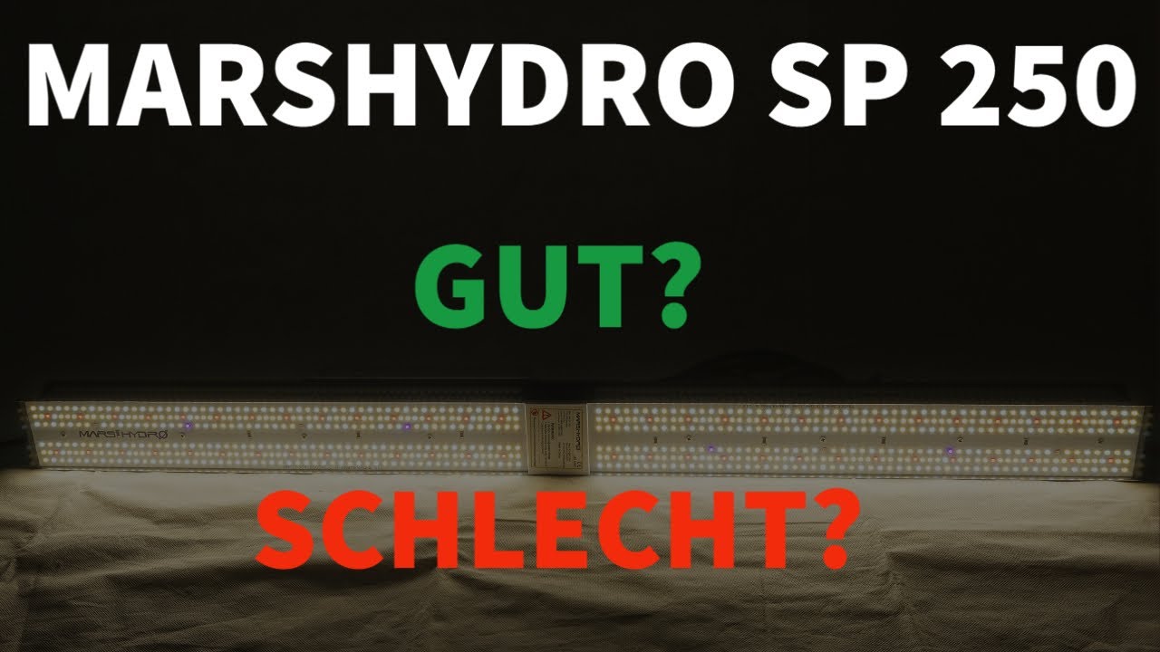 MARSHYDRO SP 250 - erster Eindruck GUT oder SCHLECHT?
