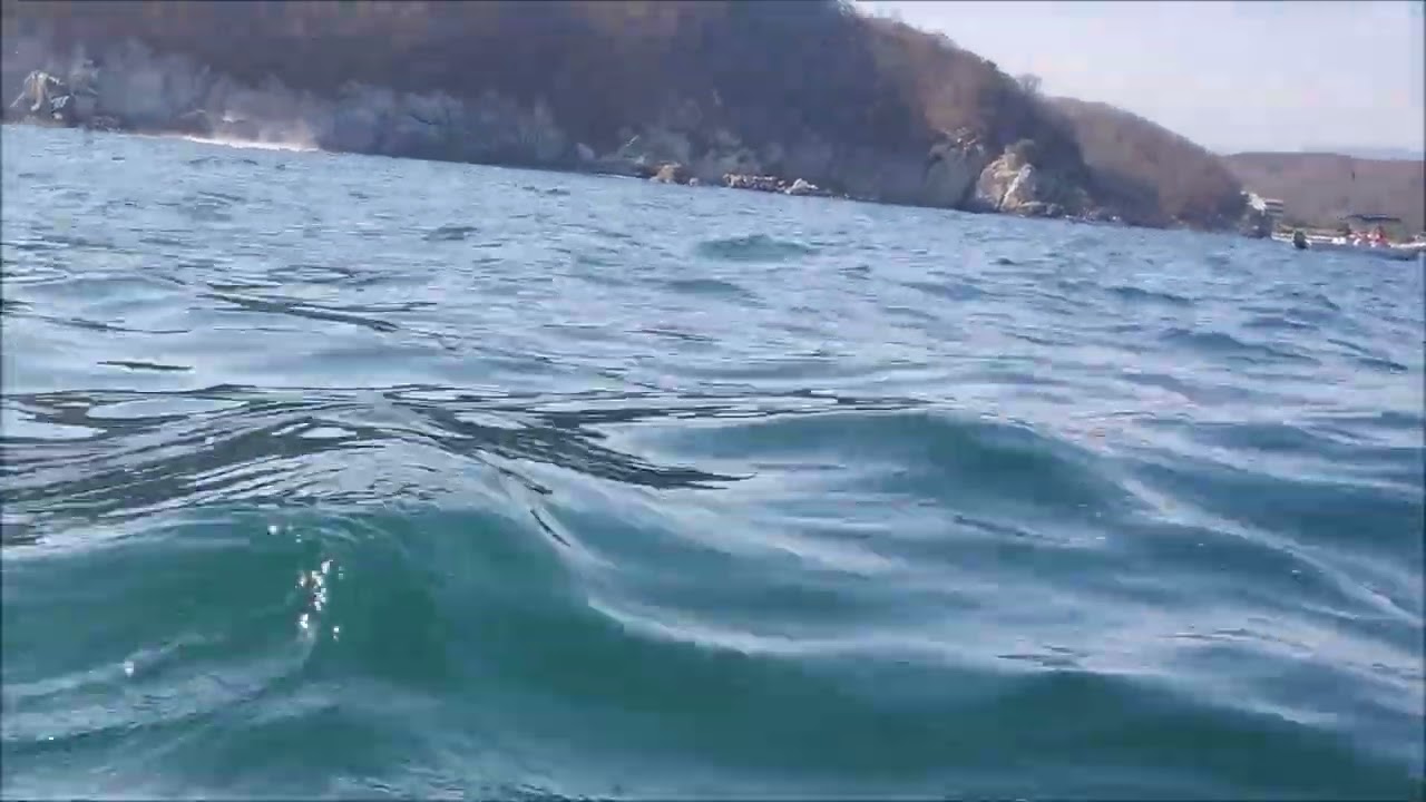 Whale and calf