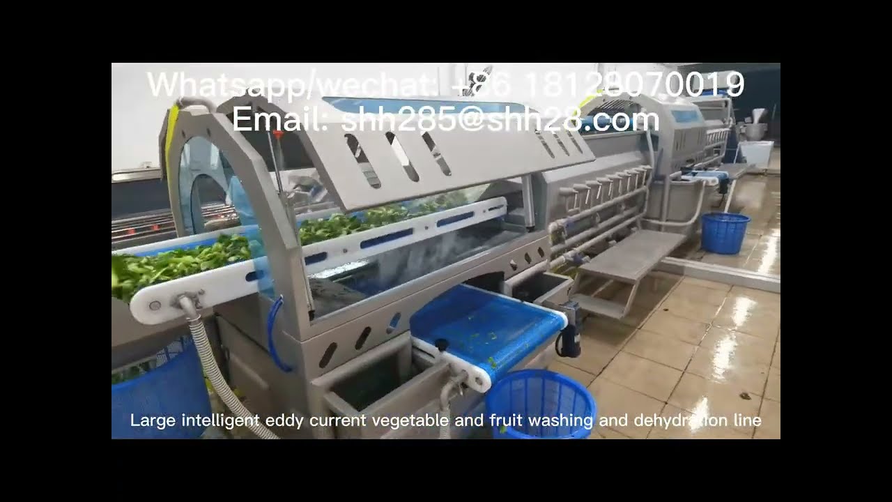 New vegetable processing line equipment salad washing machine lettuce dewatering machinery