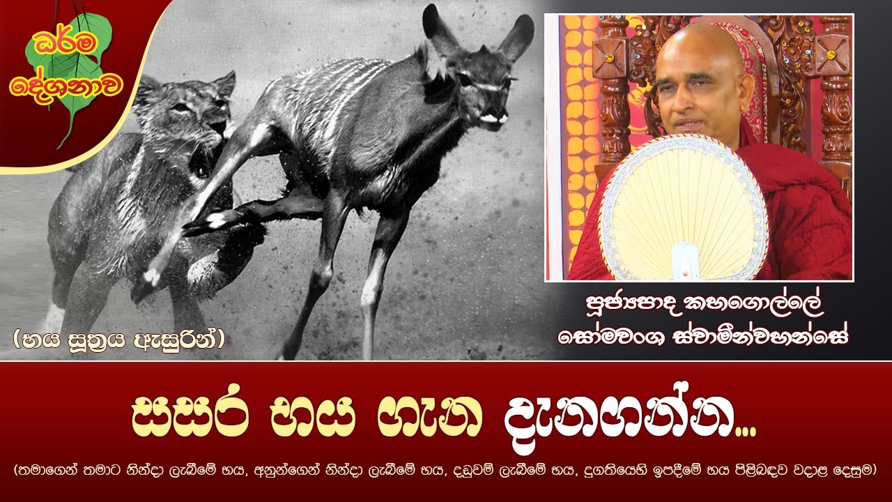Ven Kahagolle Somawansa Thero | 2022-03-10 | 04:00 PM (සසර භය ගැන දැනගන්න...) භය සූත්‍රය ඇසුරෙන්
