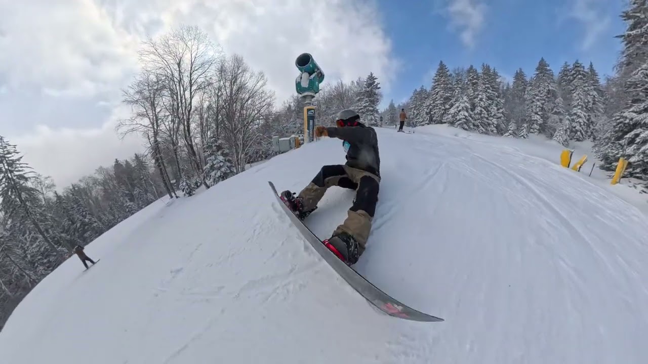 Snowshoe - Whistlepunk