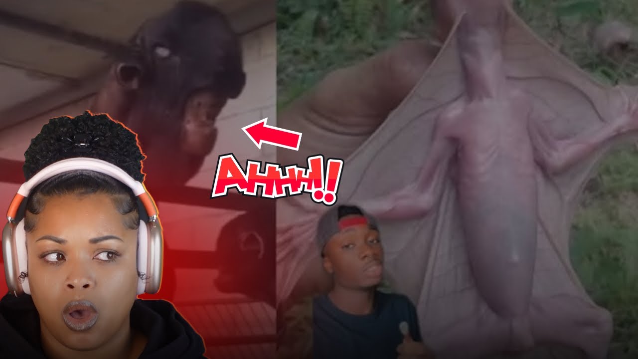 If you never saw it before, you wouldn’t believe it was real .. OR Would You ?!