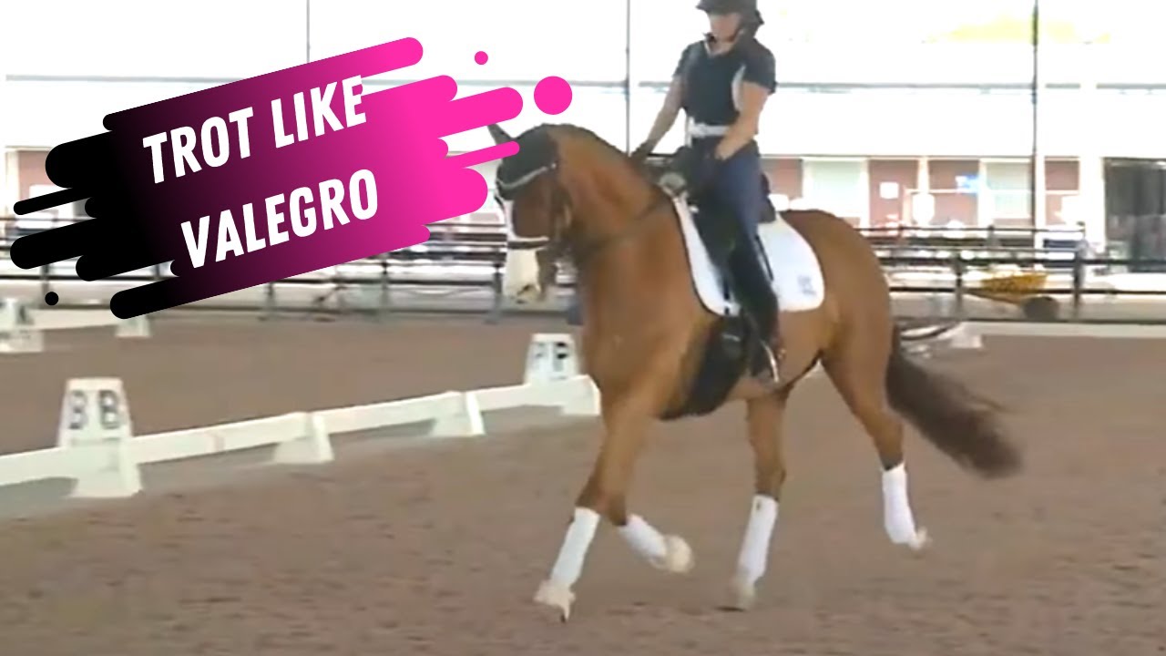 How To Ride The Extended Trot Like Valegro With Robert Dover