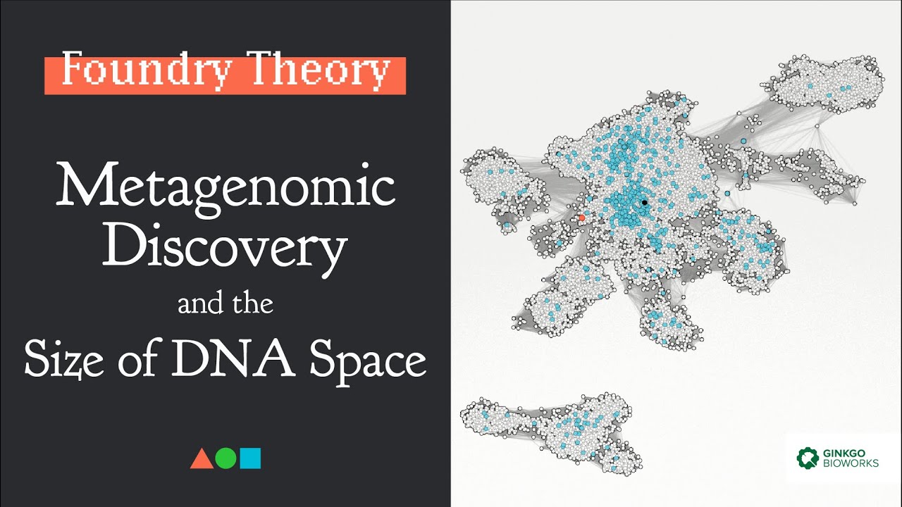 FT016 - Metagenomic Discovery and the Size of DNA Space