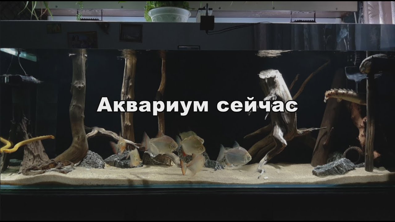 Восстанавливаем хронологию