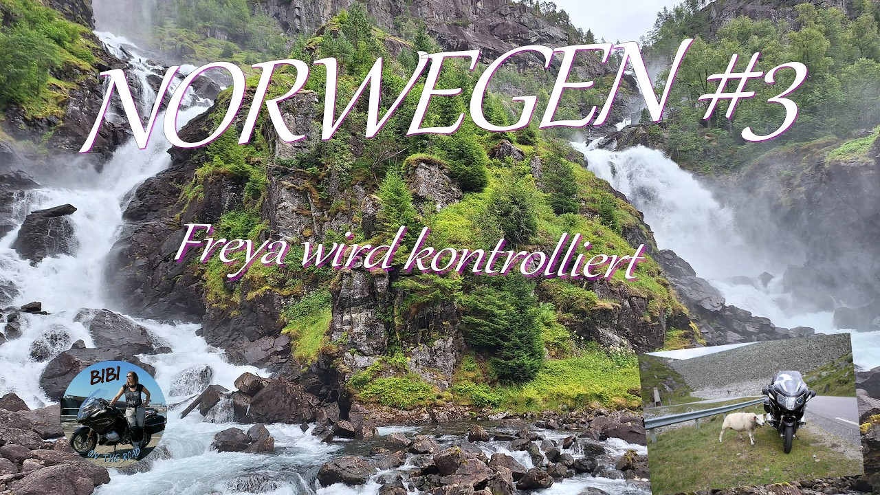 Norwegen 2024 Teil 3   Freya wird kontrolliert