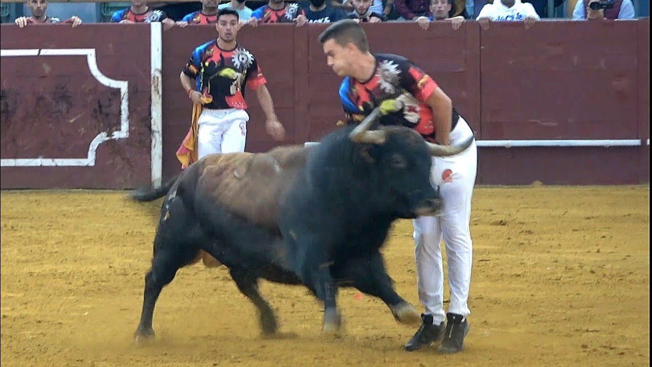 😍 MEJORES QUIEBROS A TOROS BRAVOS 2021