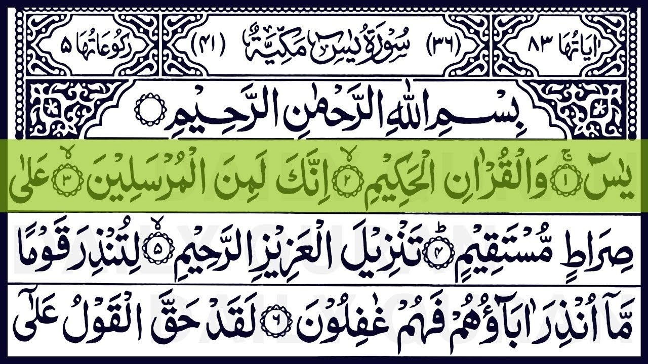 Surah Yaseen Surah Ar Rahman | Best Quran Recitation | Surah Yasin Tilawat | Episode_002