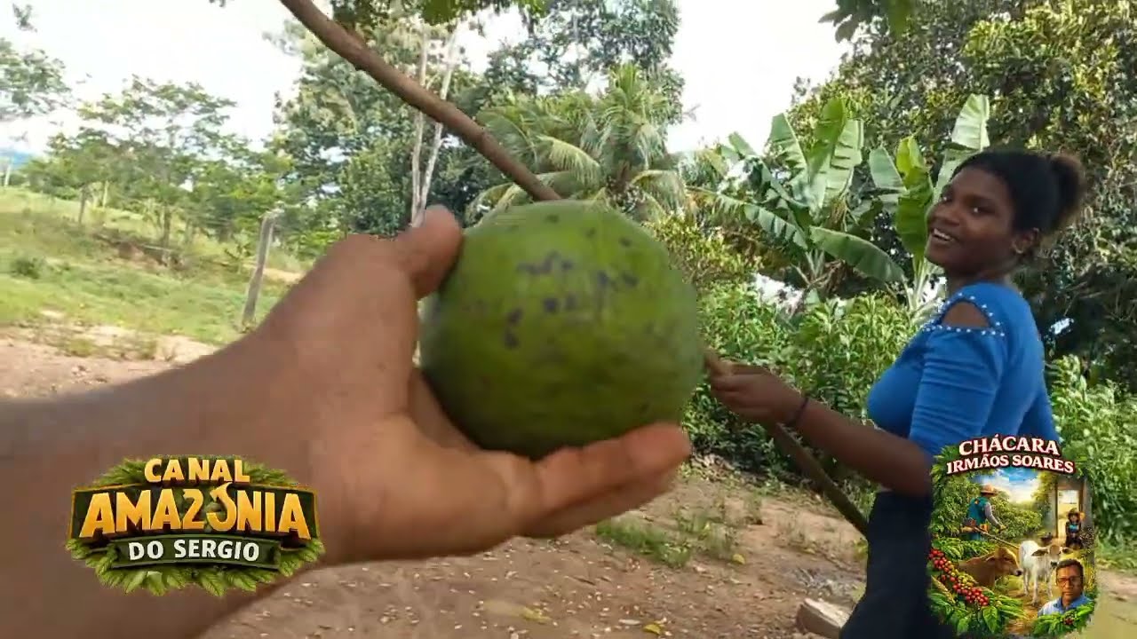 ASSIM É VIDA NO #SÍTIO, FARTURA!.