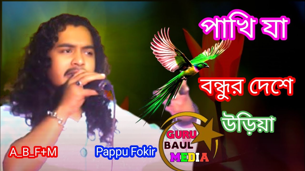 আমার নয়ন জলে লেখা চিঠি | যা পাখি ঠোঁটে লইয়া | আমার বন্ধুর দেশে উড়িয়া | বাউল পাপ্পু ফকির | 