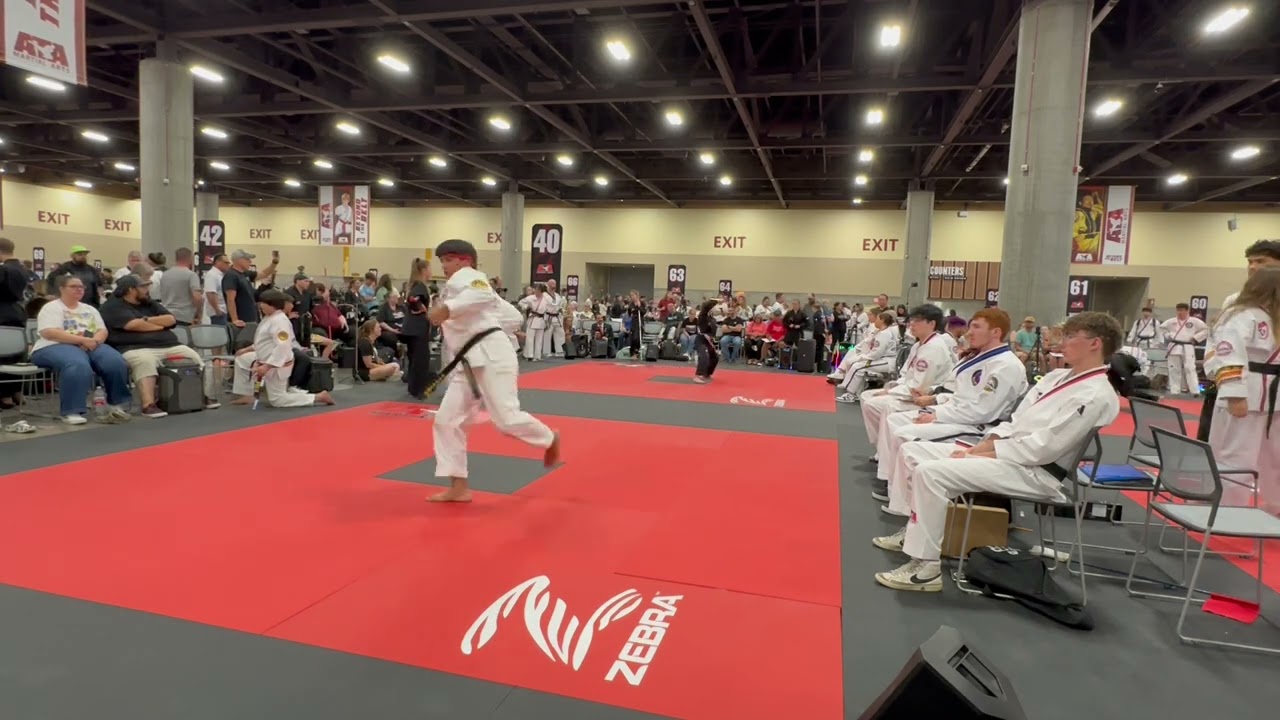 A.T.A WORLDS tournament X.M.A forms (extreme forms )