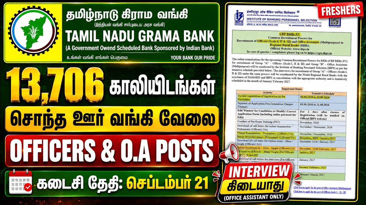 Tamil Nadu Grama Bank Recruitment 2026 | 13,706 Vacancies | IBPS RRB Notification 2026 | ANY DEGREE