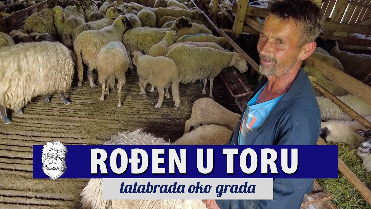 Fadil je rođen u TORU i druge porodice od OVACA NEMA
