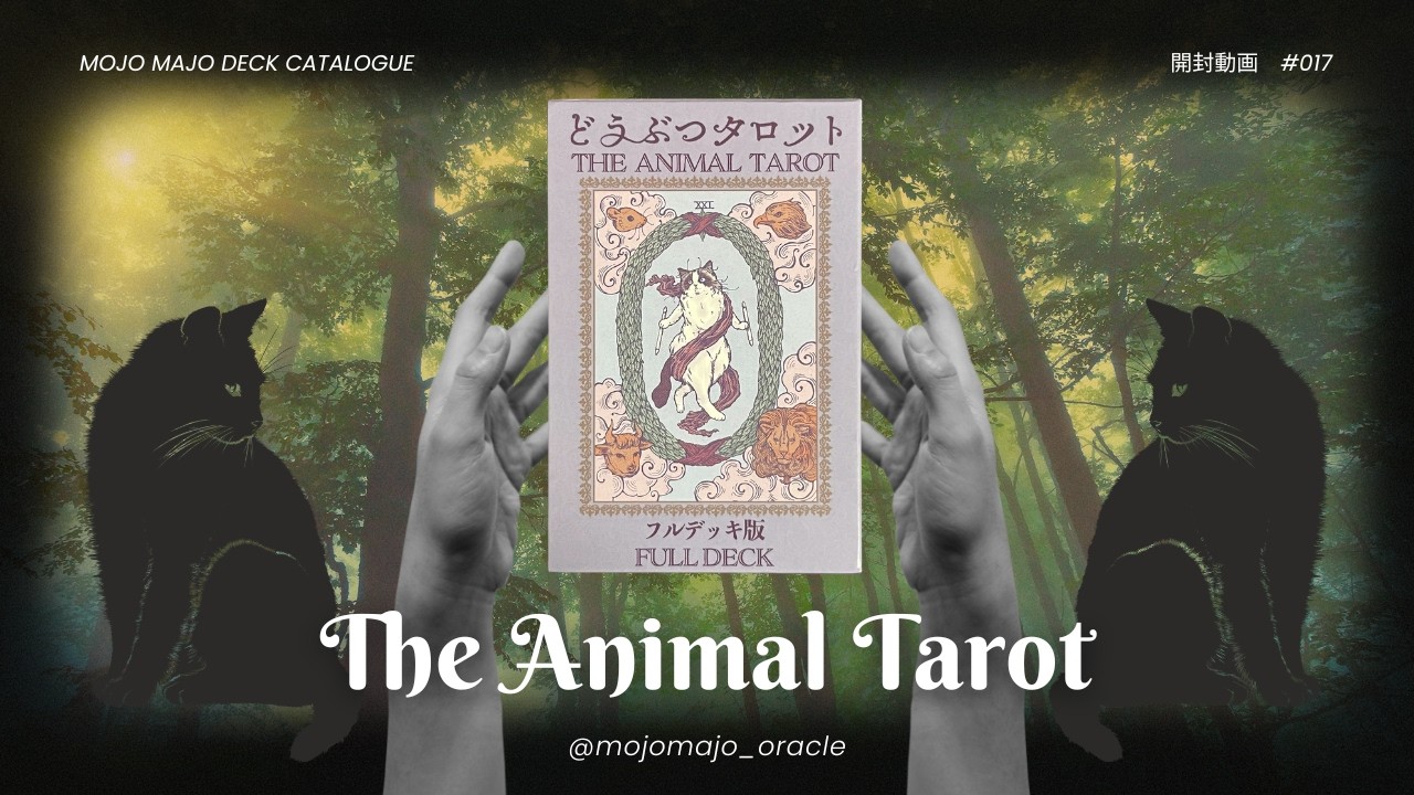 【デッキ開封】どうぶつタロット フルデッキ版 The Animal Tarot Full deck【カードを正逆すべてお見せします！】