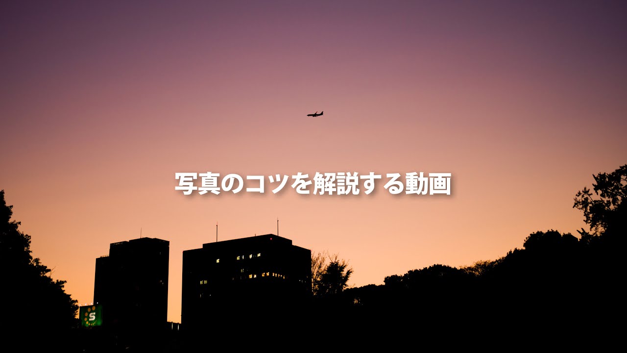 中判ミラーレスカメラでお散歩写真！被写体探しでさまようが・・・【スナップ写真】