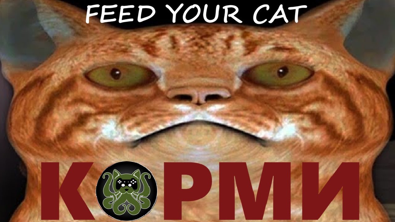 🐱Feed your cat🐱- В поисках вкусняшек для кота! (3 концовки)