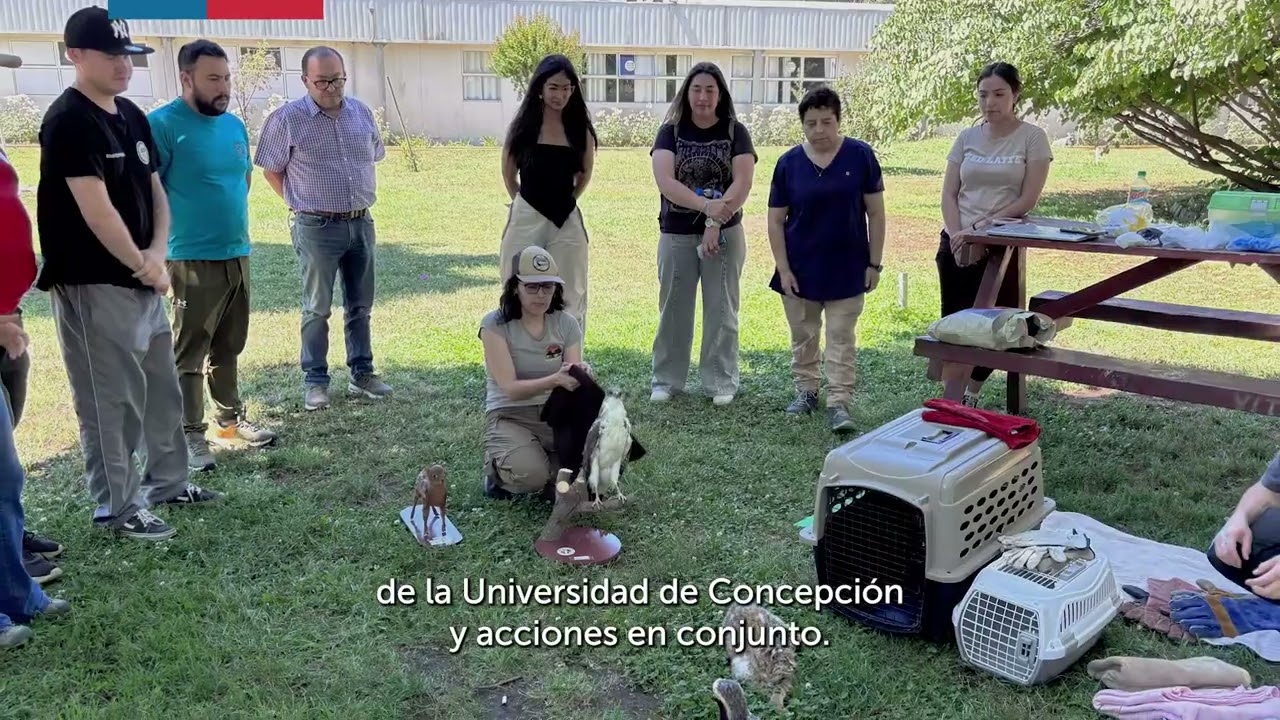 Recursos Naturales y Biodiversidad - Seremi del Medio Ambiente de Ñuble