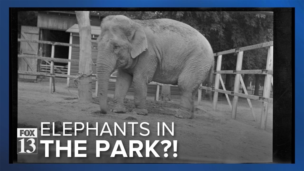 How Liberty Park has changed in the last 142 years