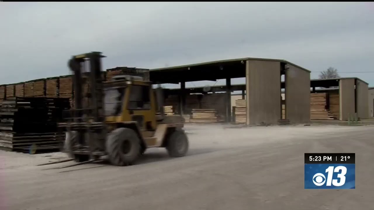 Mo PAC Lumber's walnut legacy: from a coal shovel to a global woodworking powerhouse