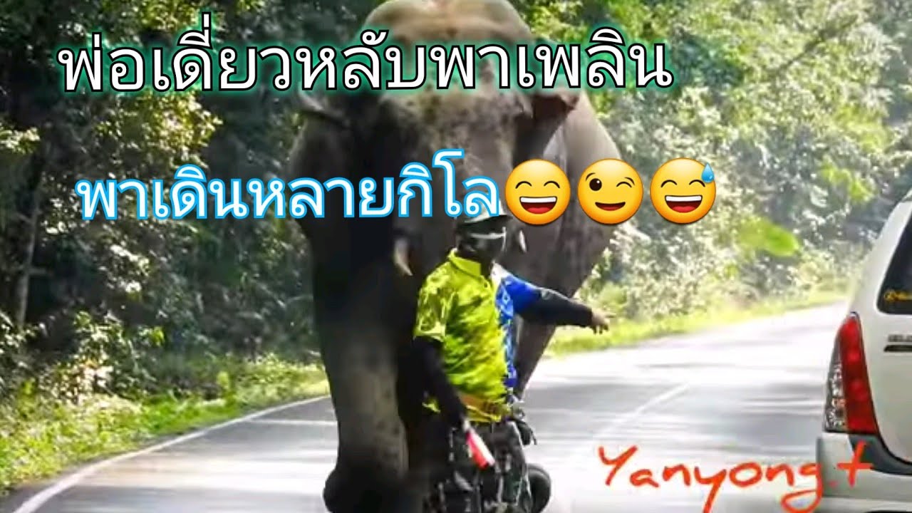 พ่อเดี๋ยว(หลับ)พาเพลิน