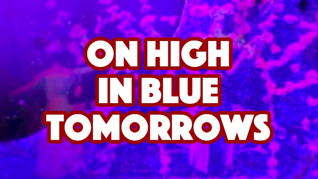 Adam Savage - On High in Blue Tomorrows