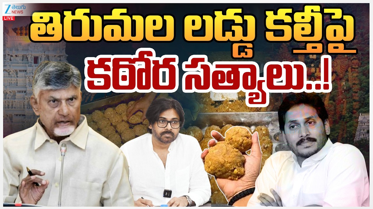 LIVE: Tirumala Laddu Ghee Adulteration Case | TDP vs YCP | తిరుమల లడ్డు కల్తీపై కఠోర సత్యాలు..!