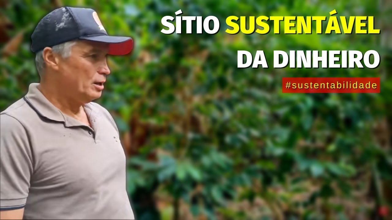 CONHEÇA esta pequena PROPRIEDADE rural SUSTENTÁVEL e ECOLÓGICA