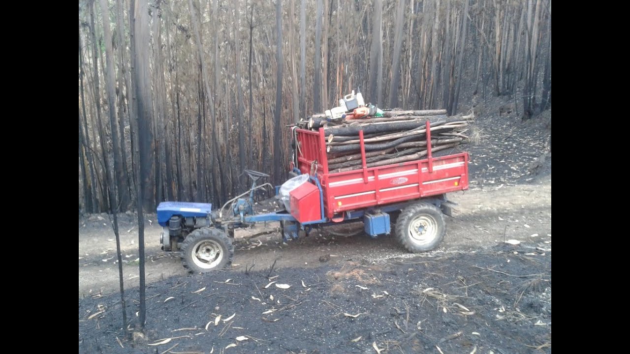 Nibbi G519 at work in firewood 2015