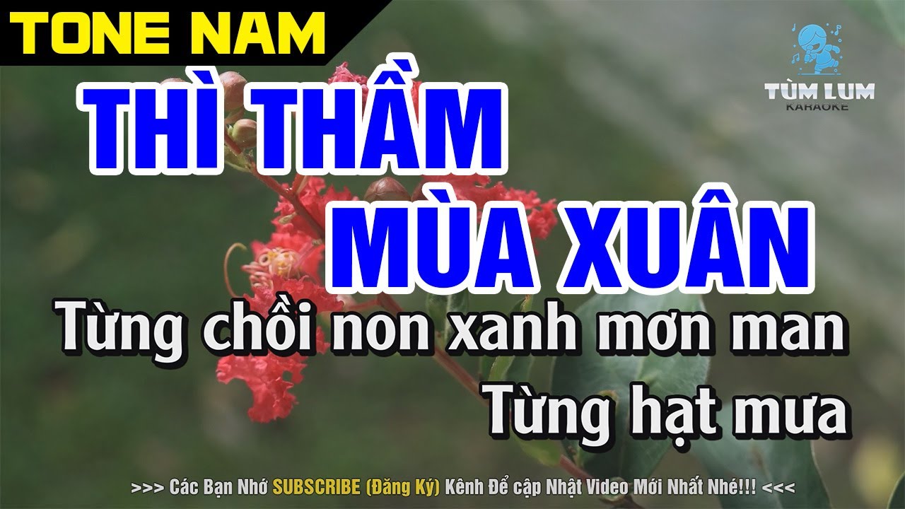 Thì Thầm Mùa Xuân Karaoke Nhạc Sống - Tone Nam [ Am ] (Beat chuẩn 2026) | Karaoke Tùm Lum