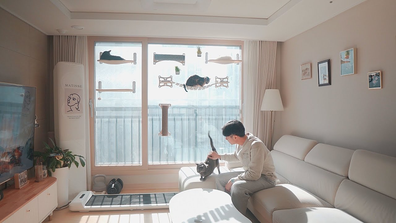 9 Apartment Cat Hacks Owners Rarely Do (But Should!)