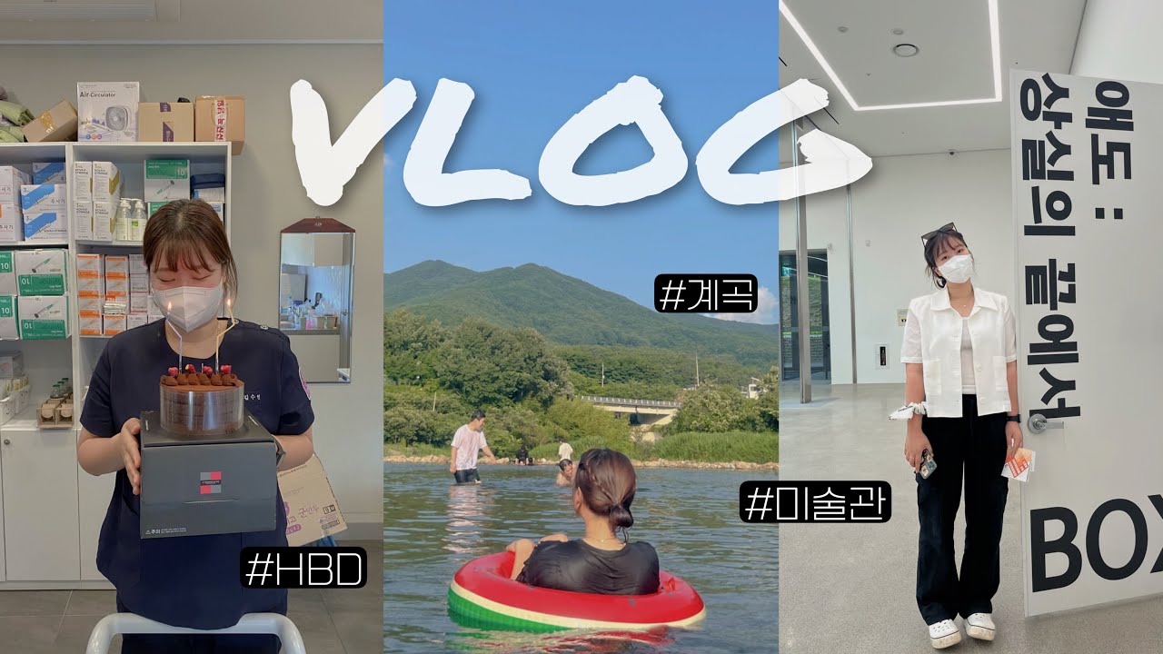 물리치료사 VLOG | 유튜버 인생 첫 악플😱 | 29살 생일🎂 | 계곡에서 닭구이(feat. 푸른 산장) | 전남 도립 미술관 | 더보기란 참고!