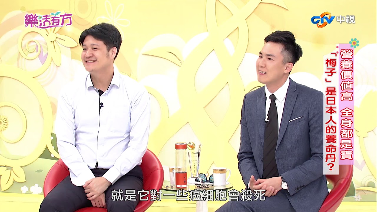 梅子是營養價值高的養命丹? 天然的防腐劑 全身都是寶│