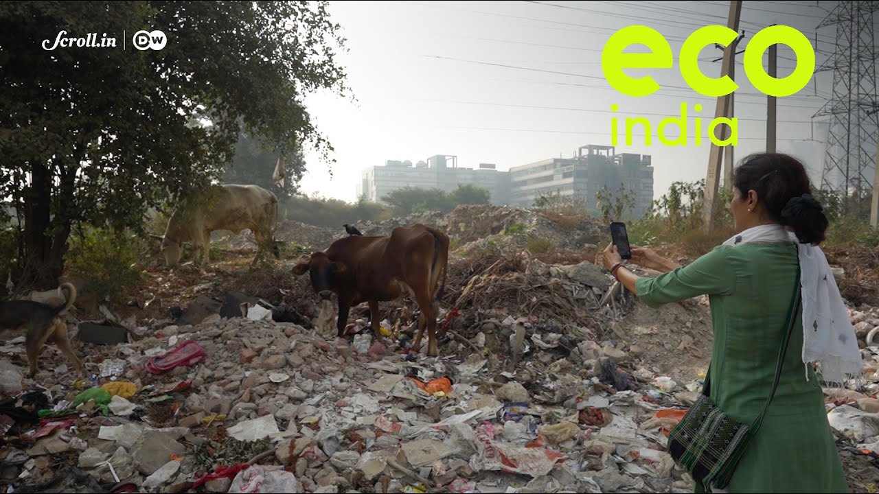 Eco India: How Gurugram's residents are ensuring compliance for managing its mounting waste