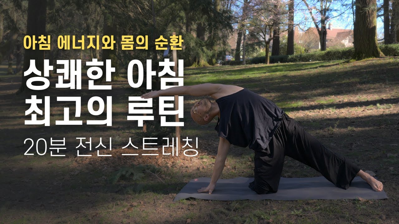 하루의 시작을 밝히는 아침 요가 | 20분 전신 스트레칭 | 요가소년 538