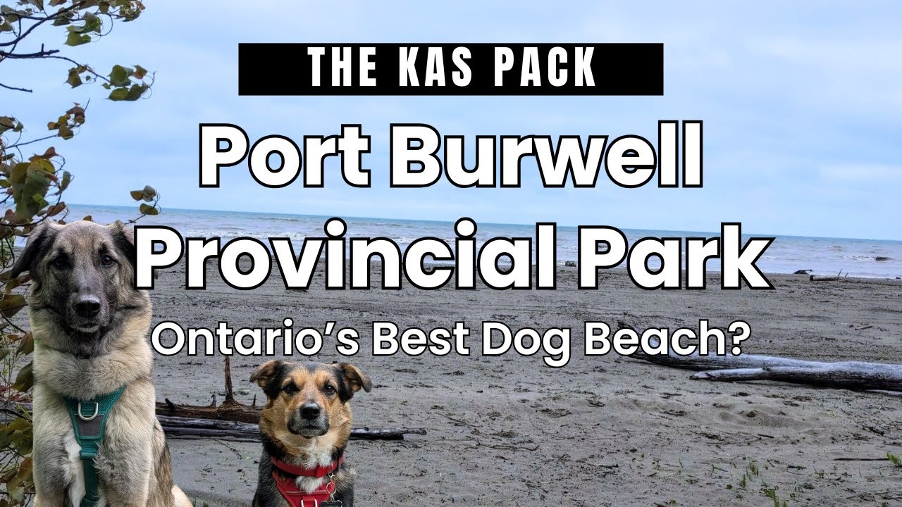 Ontario's Best Dog Beach? Let's Check Out Port Burwell Provincial Park!