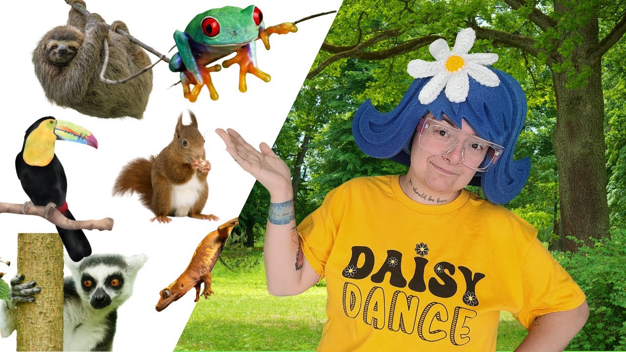 Who Lives In Trees? Jog & Learn with Daisy Dance!