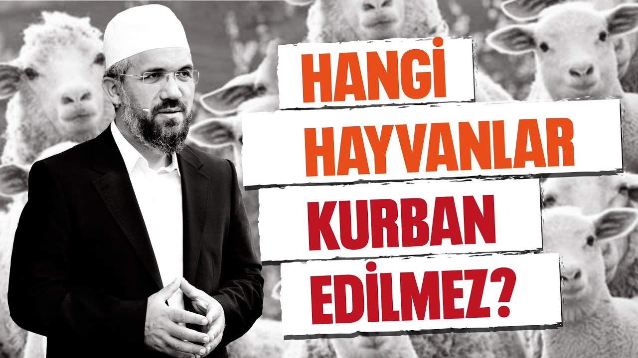Hangi Hayvanlar Kurban Edilmez? l İhsan Şenocak